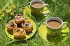 79664820-picnic-dolce-colazione-sull-erba-torte-con-mele-e-caffè-con-latte-.jpg