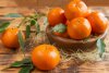 Mandarine-et-clementine1_-Shintartanya-stock.adobe_.com-800.jpg