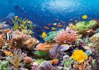 jigsaw-puzzle-1000-pieces-coral-reef.1063-1.fs.jpg